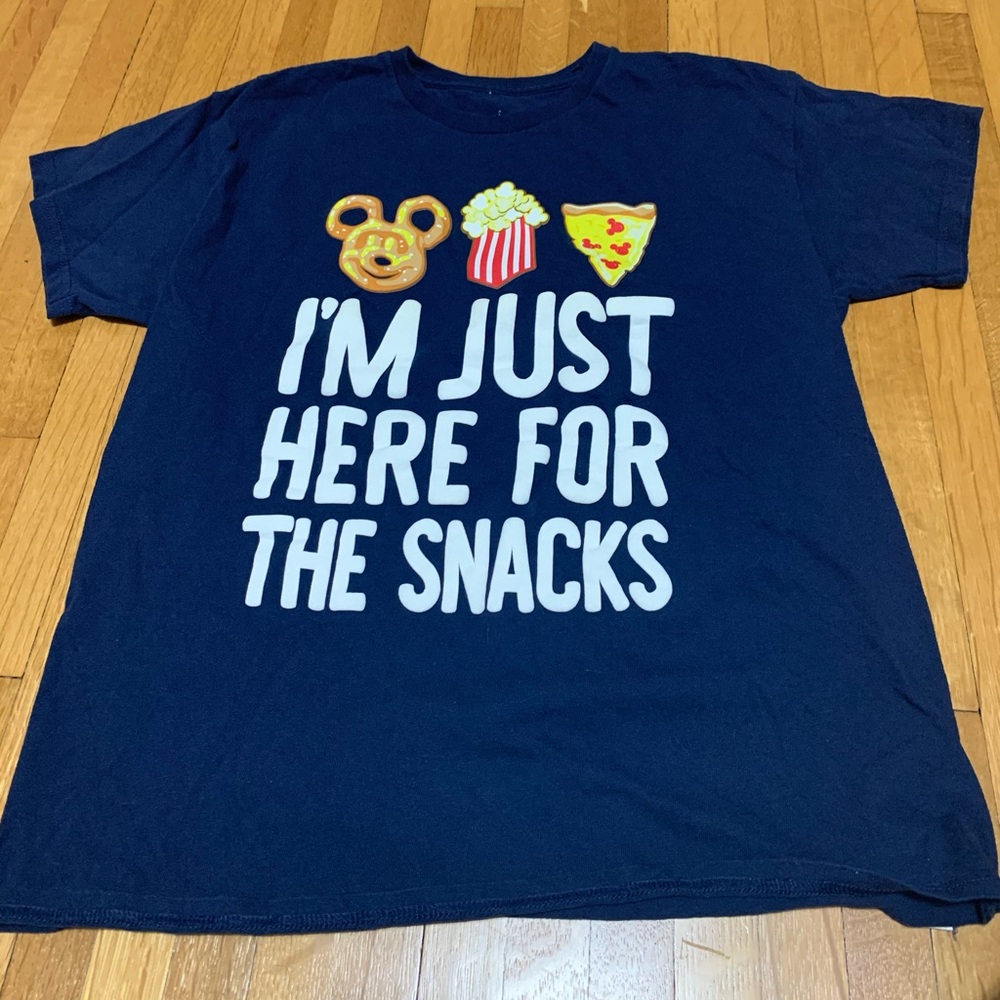 Fun Disney Parks t-shirt